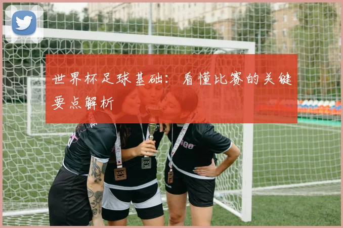 世界杯足球基础:看懂比赛的关键要点解析