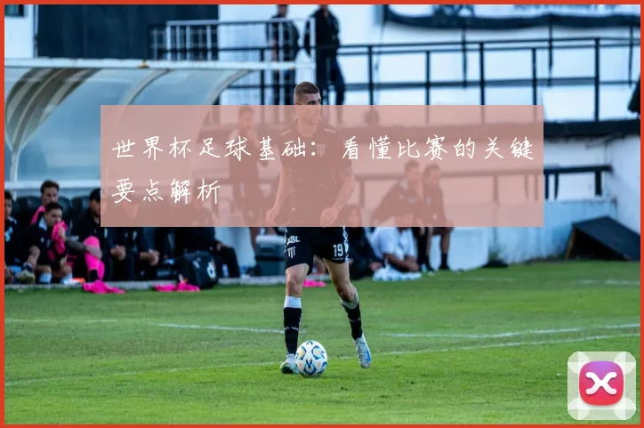世界杯足球基础:看懂比赛的关键要点解析