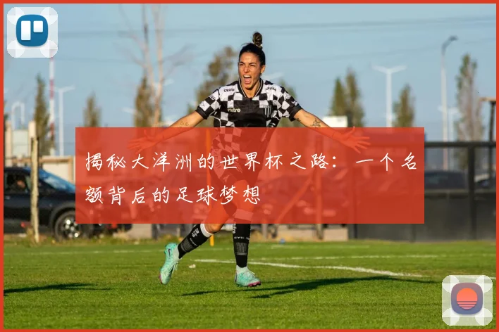 揭秘大洋洲的世界杯之路：一个名额背后的足球梦想