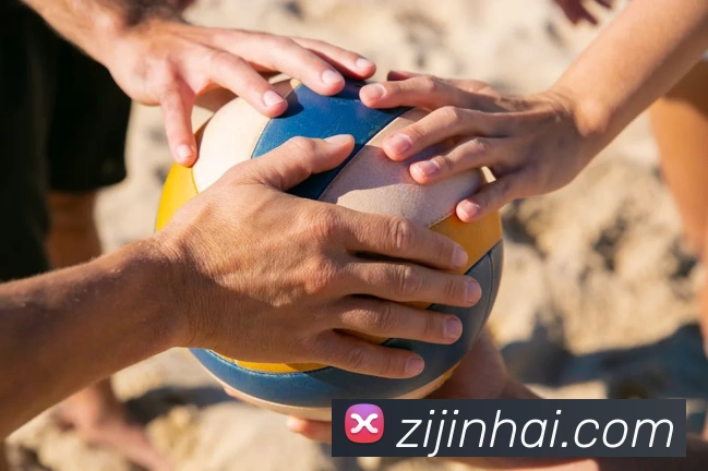 世界杯播放平台平台生态图